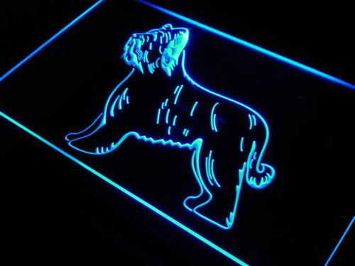 Briard Dog Pet Shop Display Lure Neon Light Sign